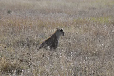 DSC_3903 (Large).JPG